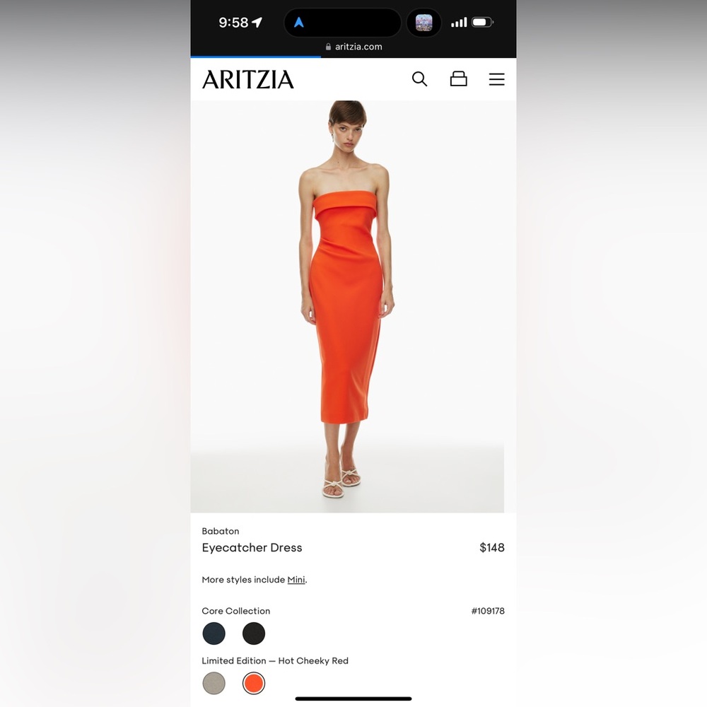 Aritzia Babaton Dress